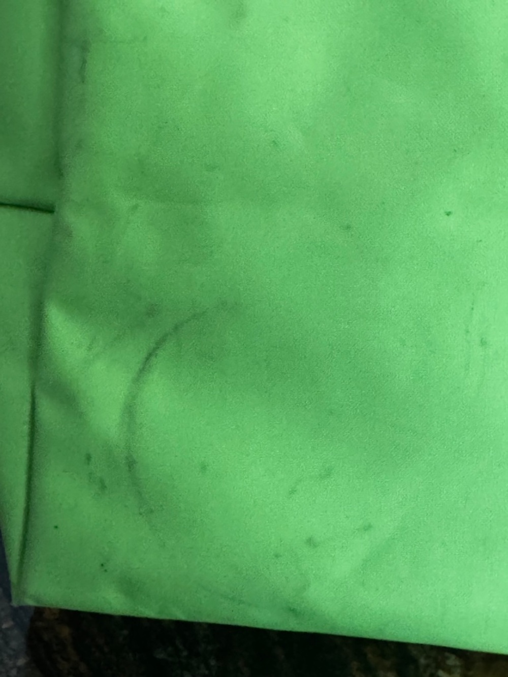 Longchamp Le Pilage M Tote Key Lime Green - Picture 16 of 16